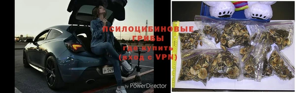 мяу мяу мука Михайлов