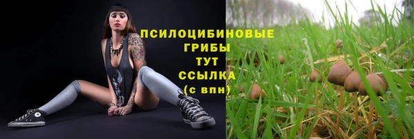 мяу мяу мука Михайлов