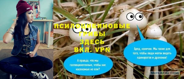 спиды Михайловка
