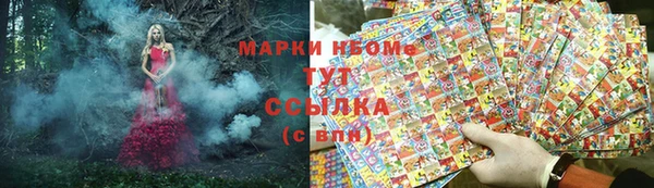 крисы Михайловск