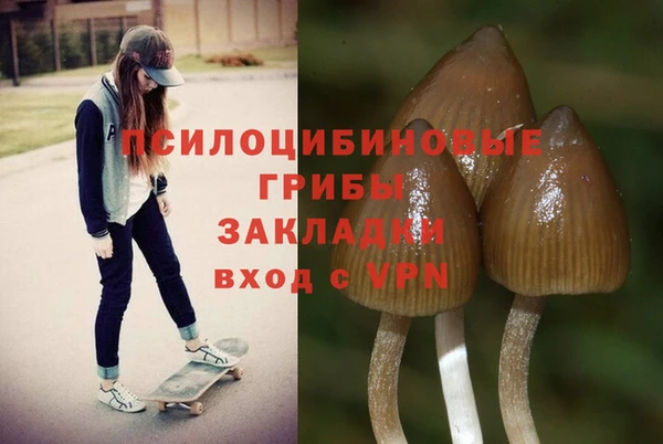 крисы Михайловск